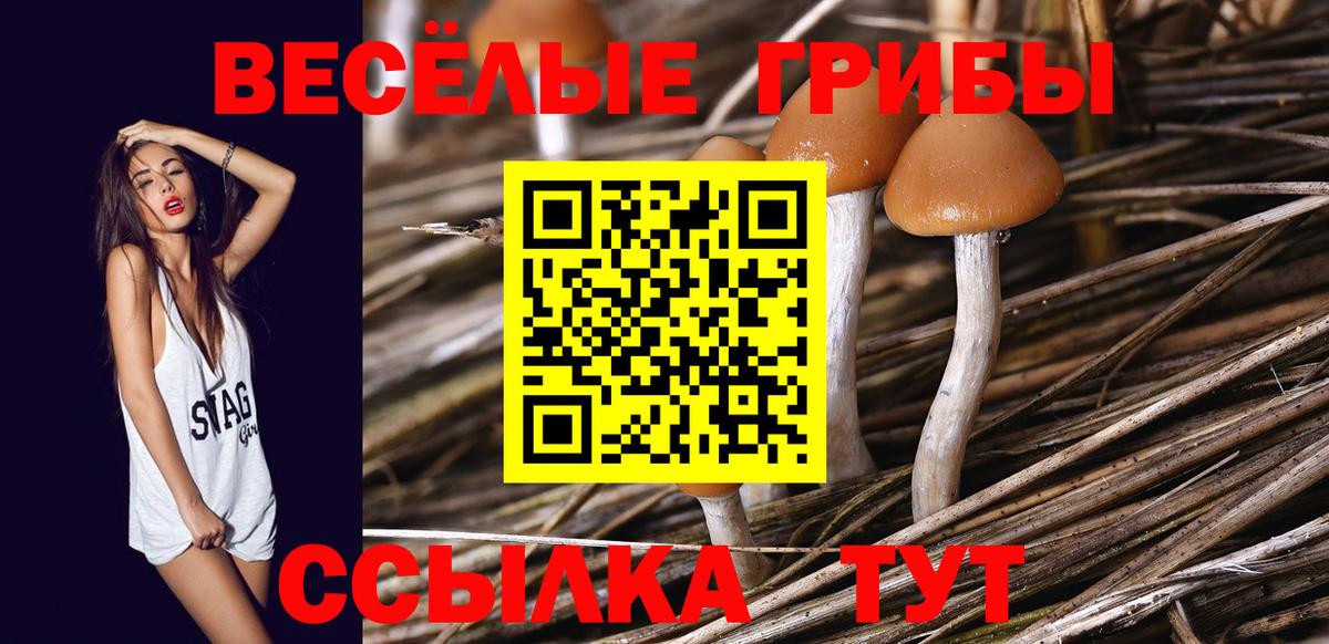 Псилоцибиновые грибы мухоморы  Вход с VPN  Симферополь 